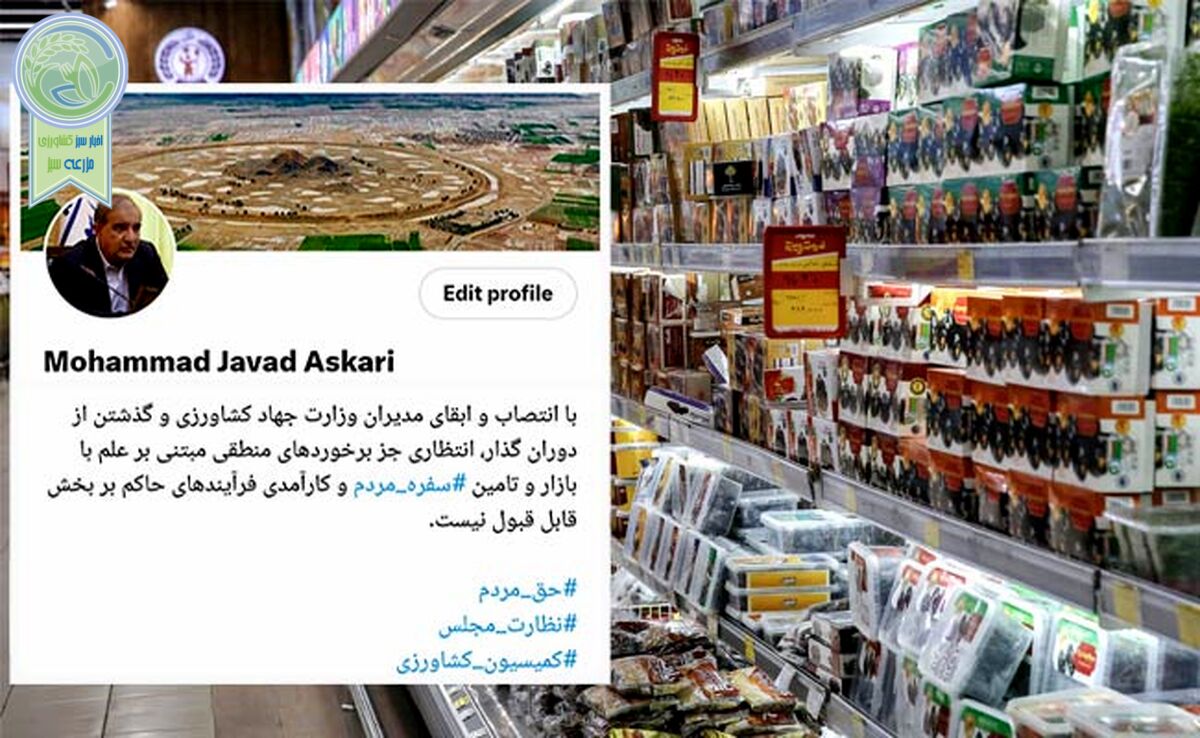 توصیه معنادار رئیس کمیسیون کشاورزی در رابطه با تامین سفره مردم+ عکس


