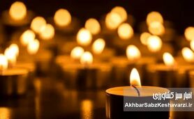 تصمیم دولت برای برگزاری مراسم چهلم جان‌باختگان حوادث اخیر