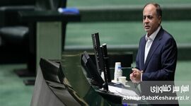 امنیت غذایی یا شعارسازی؟ نگاهی انتقادی به وعده‌های وزیر جهاد کشاورزی
