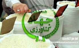 ارز ۲۸۵۰۰ تومانی برای واردکنندگان، برنج ۲۰۰ هزار تومانی برای مردم!
