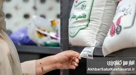 قیمت برنج جهش کرد؟ جدول تازه نرخ برنج ایرانی و وارداتی امروز