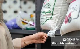 قیمت برنج جهش کرد؟ جدول تازه نرخ برنج ایرانی و وارداتی امروز
