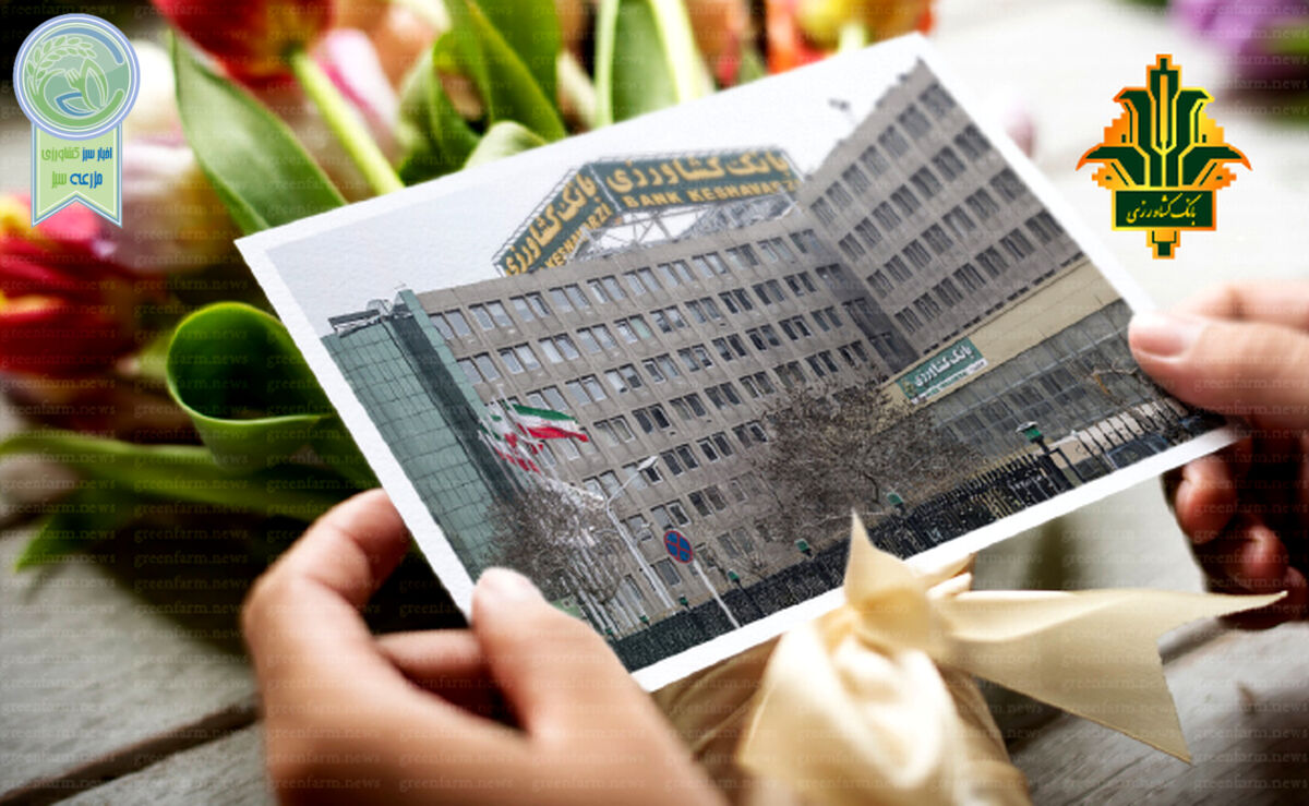پالیز، کشاورزی قراردادی تضمین شده


