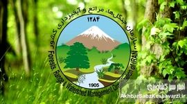 احتمال ناپدید شدن ۱۱۵ میلیارد ریال کارت هدیه در سازمان جنگل‌ها و مراتع کشور