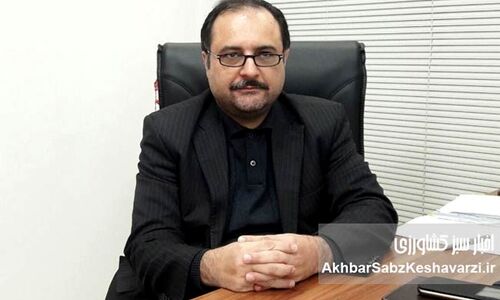 پایان اصلاحات ارضی، وابستگی به واردات غذا، کشاورزی در برنامه عمرانی پنجم