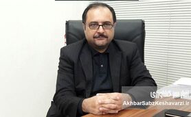 واکنش‌های استراتژیک نیروهای جهانی هژمون به استفاده از غذا به عنوان سلاح در جنگ هیبریدی