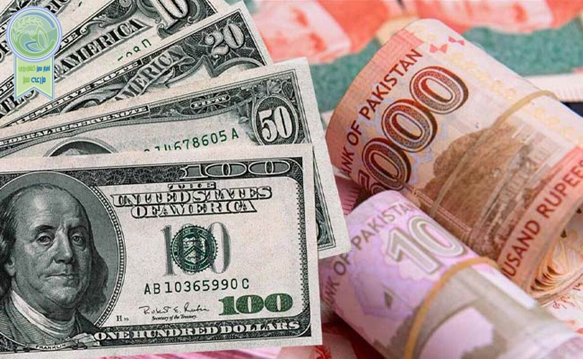 قیمت دلار و یورو امروز سه‌شنبه ۲۸ فروردین ۱۴۰۳+ جدول

