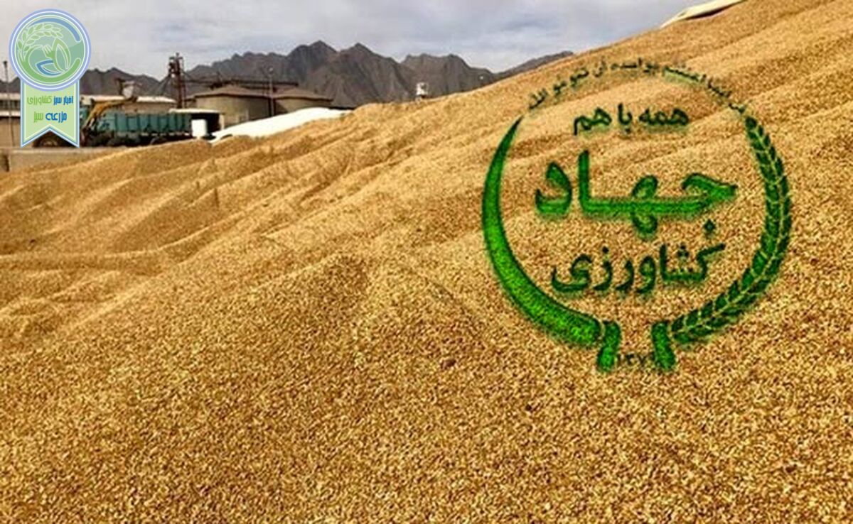فساد در واردات نهاده‌های دامی؛ ورود قوه قضاییه+ ویدئو