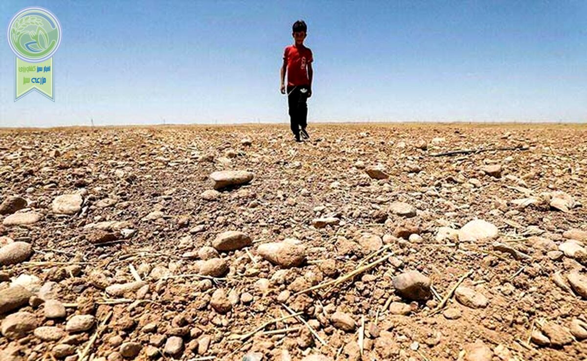 دولت چهاردهم و زمین سوخته محیط زیست

