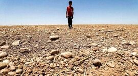دولت چهاردهم و زمین سوخته محیط زیست

