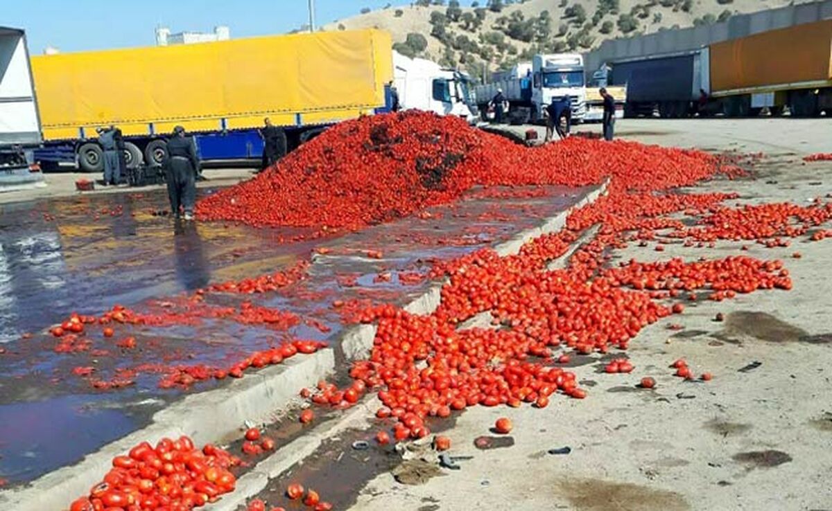 هدررفت محصولات کشاورزی در نبود صنایع تبدیلی
