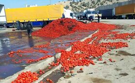 هدررفت محصولات کشاورزی در نبود صنایع تبدیلی
