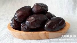 چرا خرما دوست روده است؟ نقش شگفت‌انگیز خرما در گوارش