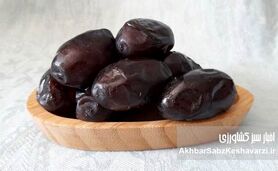 چرا خرما دوست روده است؟ نقش شگفت‌انگیز خرما در گوارش