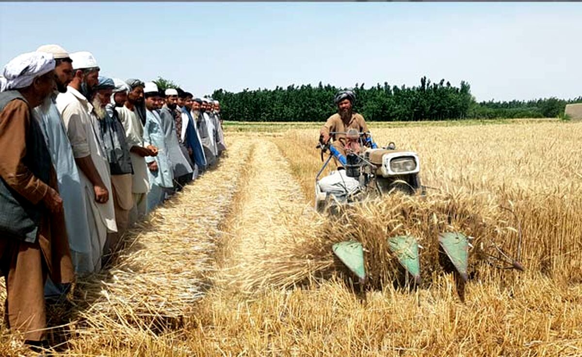 بازاری مهیا برای صنعتگران ایرانی

