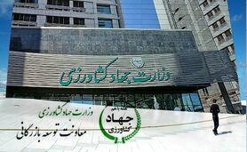 ناترازی حاصل از عملکرد معاونت توسعه بازرگانی گریبانگیر وزیر نشود

