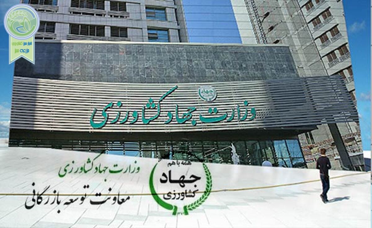 ناترازی حاصل از عملکرد معاونت توسعه بازرگانی گریبانگیر وزیر نشود

