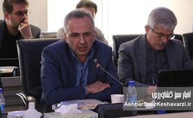 امنیت غذایی با رضایت قلبی کشاورزان محقق می‌شود
