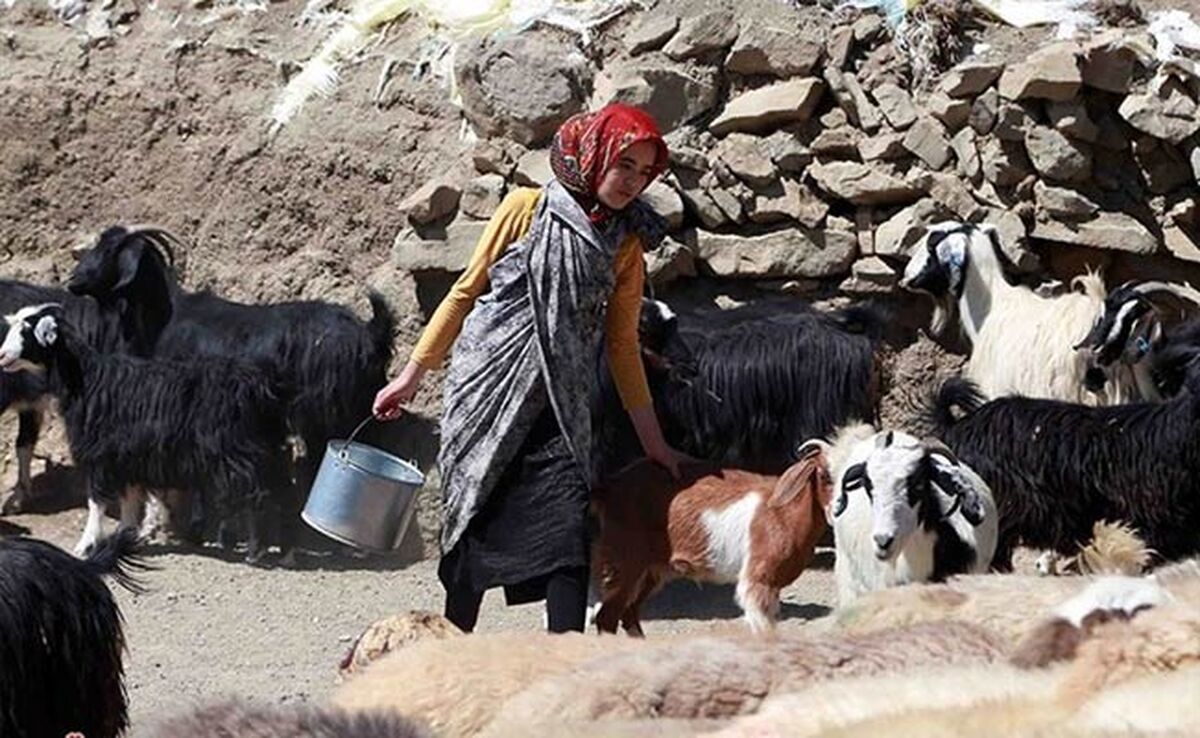 رنج و حقوق نابرابر، سهم زنان روستایی ایران

