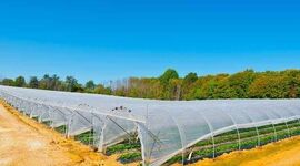 تصفیه آب شور؛ راهکار طلایی گلخانه‌های ایران در مناطق کم‌آب