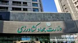 یک بازدید ساده، یک افشاگری بزرگ+ ویدئو