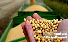 آژیر برای علاج واقعه قبل از وقوع؛ کمبود نهاده‌های کشاورزی، تهدیدی برای امنیت غذایی