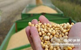 آژیر برای علاج واقعه قبل از وقوع؛ کمبود نهاده‌های کشاورزی، تهدیدی برای امنیت غذایی
