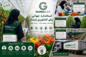 مسیر طلایی صادرات محصولات کشاورزی؛ الزامات گلوبال‌گپ و اهمیت فرهنگ مستندسازی
