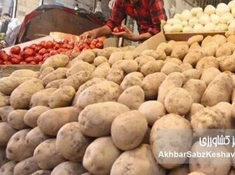 سیب‌زمینی ۱۳۵ هزار تومانی کی ارزان می‌شود؟ 