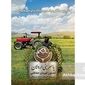 از نیم هکتار تا صدها هکتار؛ درس‌های مزرعه یاسر بنی‌اردلان برای جهش کشاورزی حفاظتی در کردستان+ ویدئو
