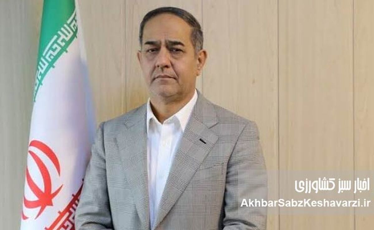 آرامش در بازار روغن خوراکی؛ طلایی از نبود نگرانی خبر داد
