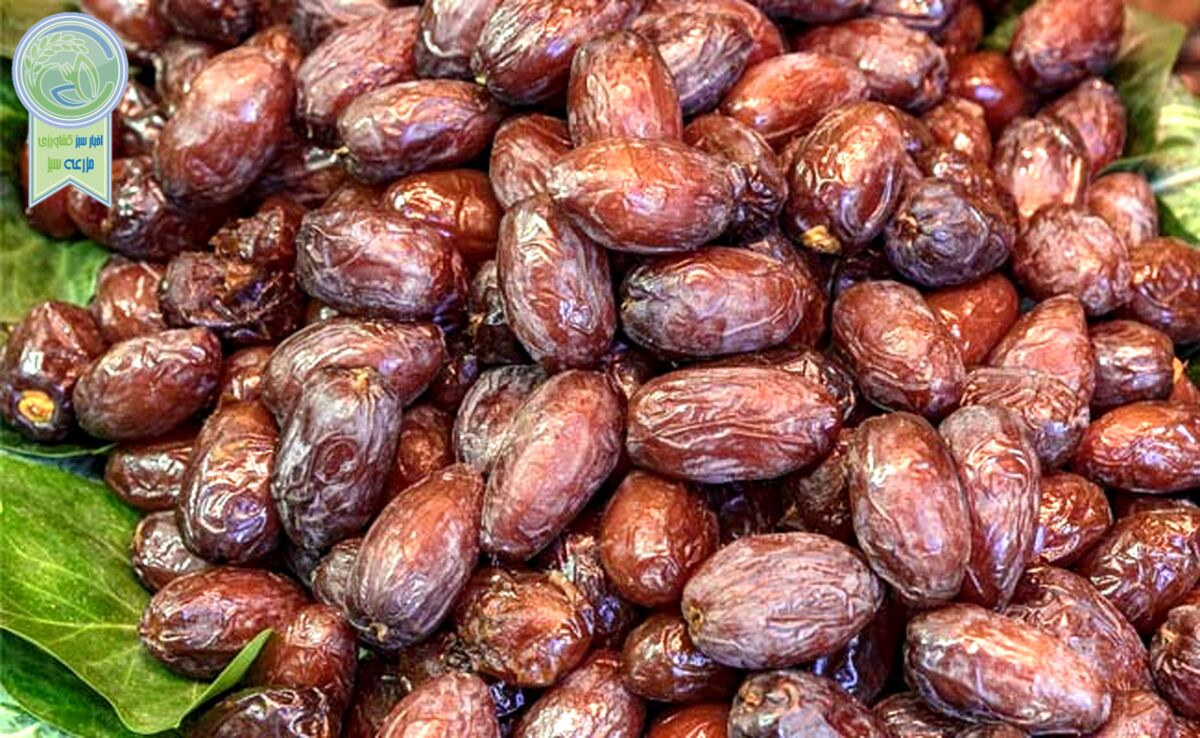 قیمت میوه و خرما سر به فلک کشید

