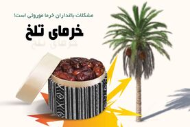 خرمای تلخ

