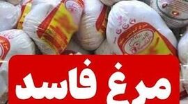 افشای طرح فروش مجدد مرغ‌های تاریخ مصرف گذشته به شرکت پشتیبانی با تاریخ جدید 