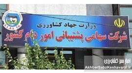 افشای فساد در شرکت پشتیبانی امور دام کشور: سکوت جایز نیست 