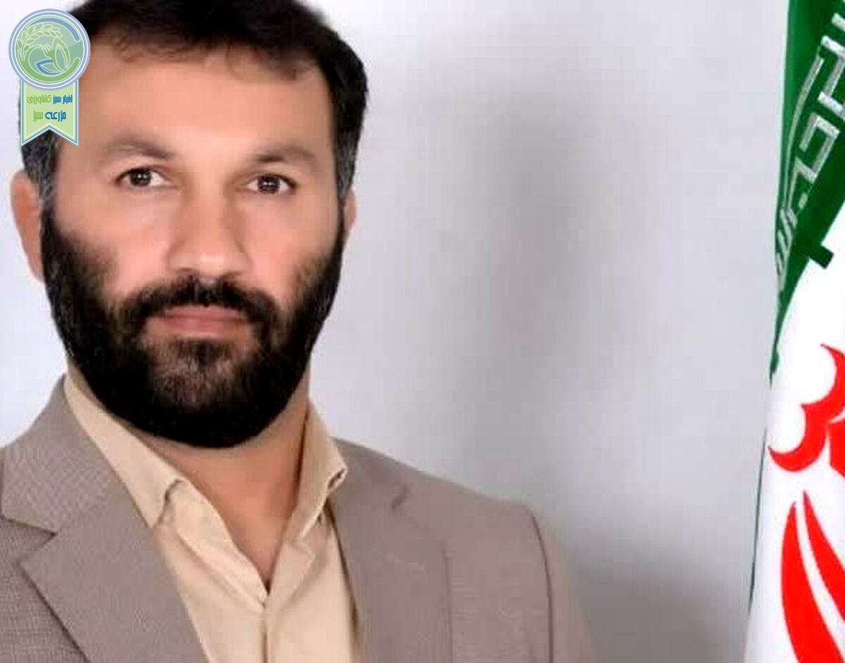 انتصاب حجت الله علی‌محمدی به سمت رییس سازمان نظام مهندسی کشاورزی+سند


