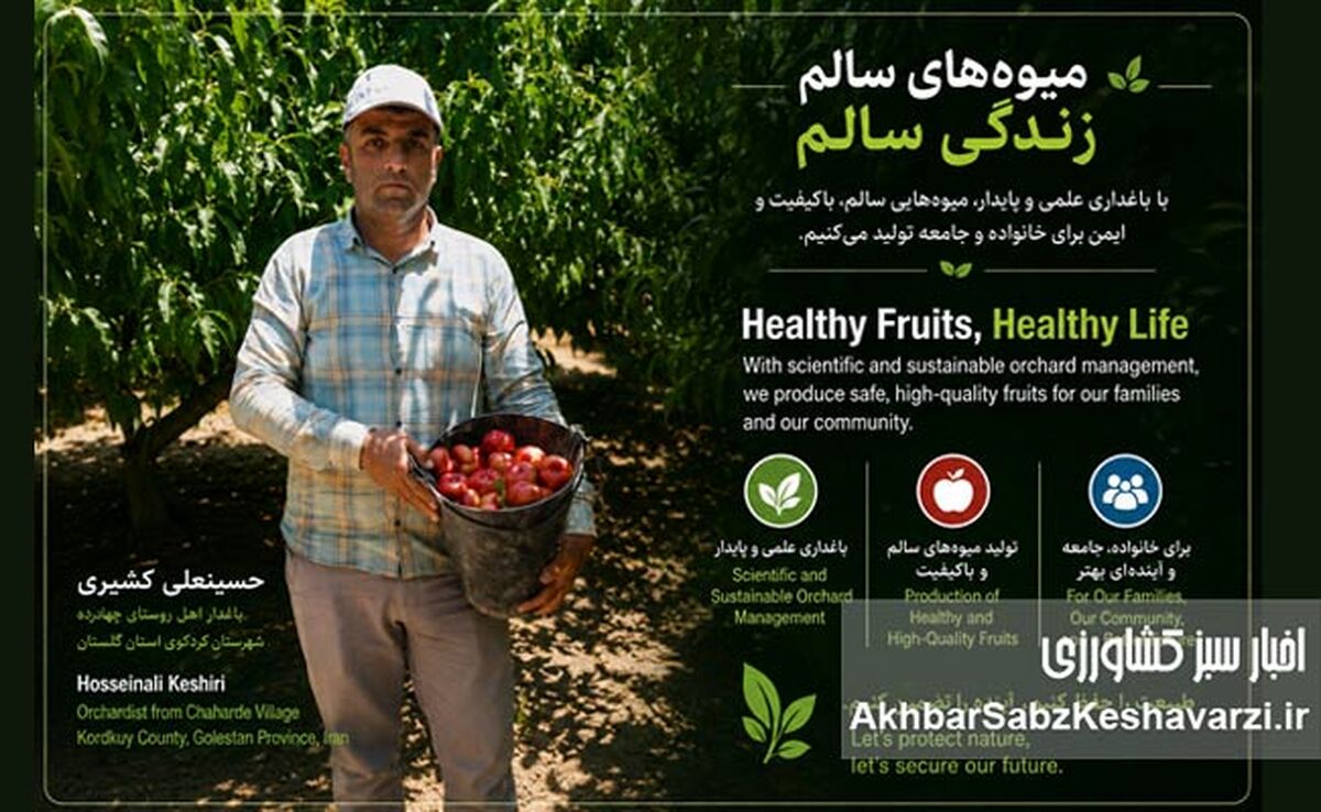 از باغ‌های هلو و شلیل چهارده تا توانمندسازی زنان روستایی؛ الگوی موفق اشتغال سبز در گلستان+ویدئو