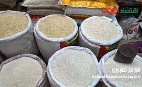  گرانی افسارگسیخته برنج ایرانی؛ از مافیای بازار تا تعطیلی واردات پاکستانی