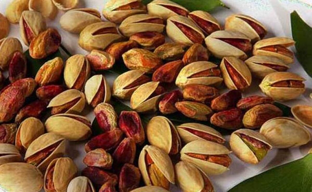 برگشت پسته ایرانی برای آفلاتوکسین

