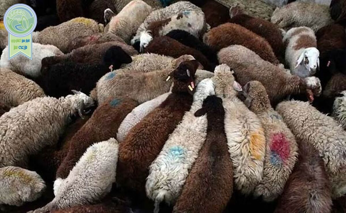 قیمت نهاده های دامی و کشاورزی ۸ اردیبهشت ۱۴۰۳+ جدول

