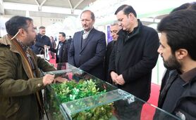 لزوم تعامل مستمر دو سازمان منابع طبیعی و محیط زیست
