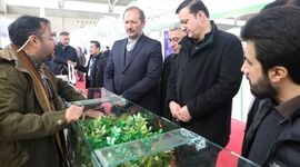 لزوم تعامل مستمر دو سازمان منابع طبیعی و محیط زیست
