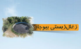 زغال زیستی بیوچار

