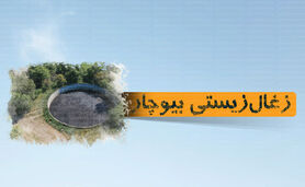 زغال زیستی بیوچار

