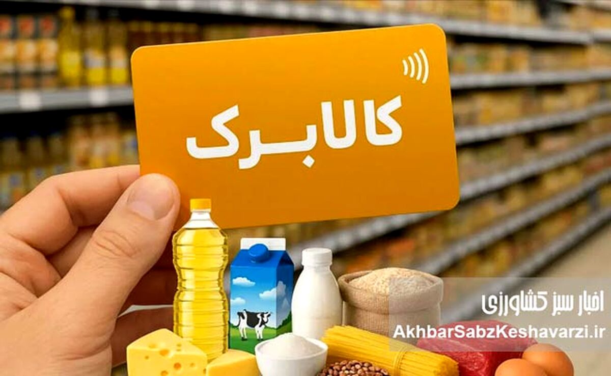 کالابرگ خرداد ۱۴۰۵ در ۳ نوبت واریز می‌شود؛ مبلغ جدید چقدر است؟