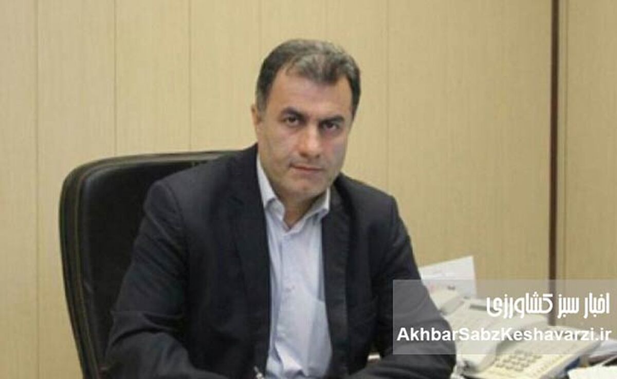 تزریق ۴ هزار میلیارد تومان به جیب کشاورزان؛ غرامت‌ها به روز شد