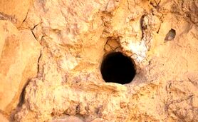 جویندگان گنج در آتشکده ساسانی


