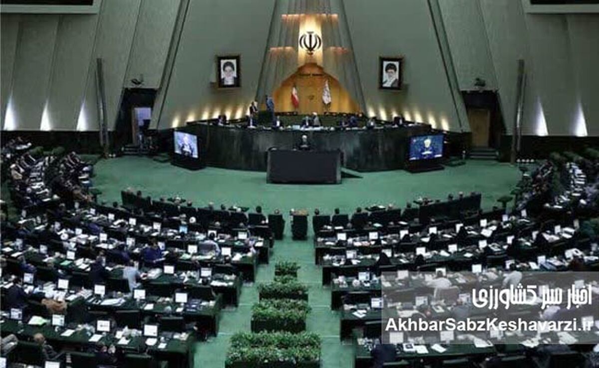  ۱۷۰ نماینده مجلس به وزیر ارشاد: «عدم پیشرفت در معاونت هنری»؛ انتقاد شدید از عملکرد نادره رضایی