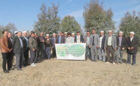 کارگاه آموزشی اصول سه‌گانه کشاورزی حفاظتی در آق‌قلا+ ویدئو

