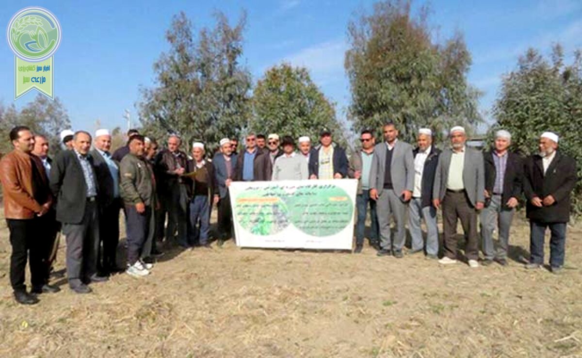 کارگاه آموزشی اصول سه‌گانه کشاورزی حفاظتی در آق‌قلا+ ویدئو

